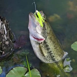 Fishing Archives - Northwoods Wholesale Outlet