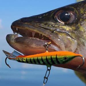 Fishing Archives - Northwoods Wholesale Outlet
